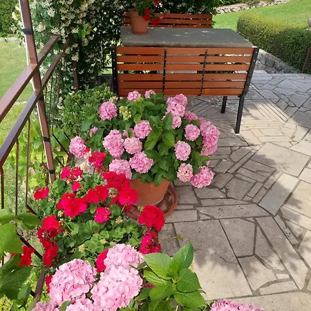 Apartament Fabris Roč